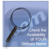 Check your domain name availability 